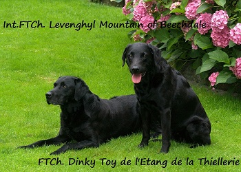 Int.FTCh.Levenghyl Mountain & FTCh.Dinky Toy